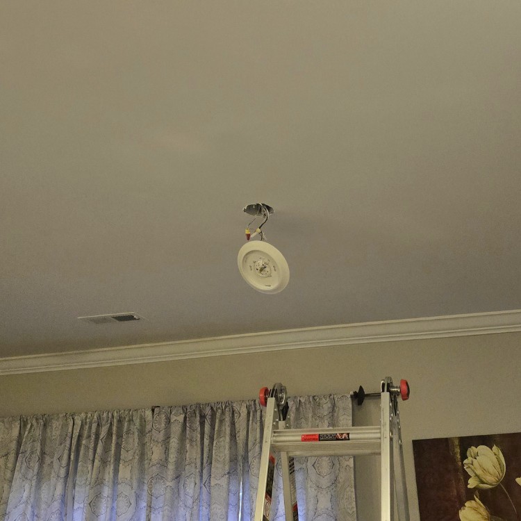 Painting service in Lexington, NC