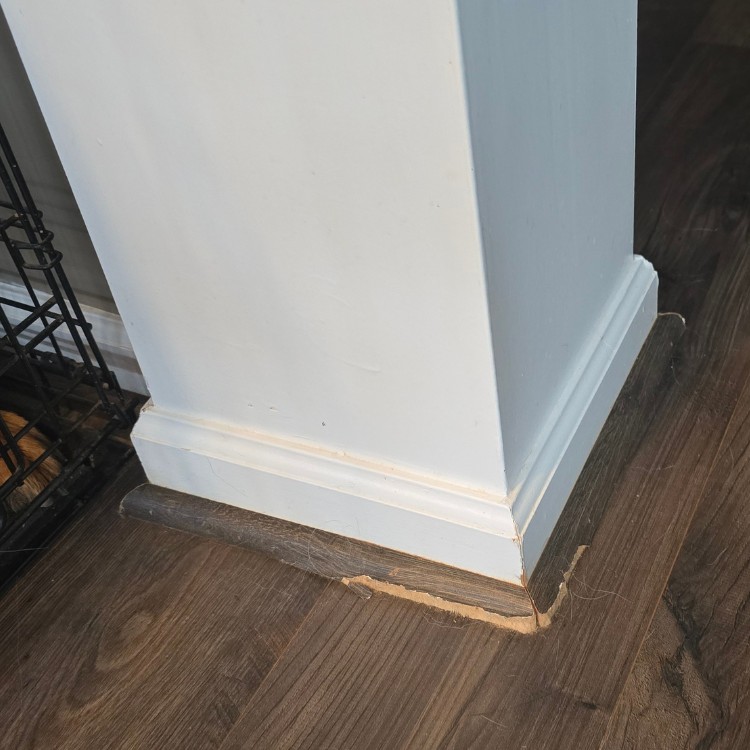 Painting service in Lexington, NC