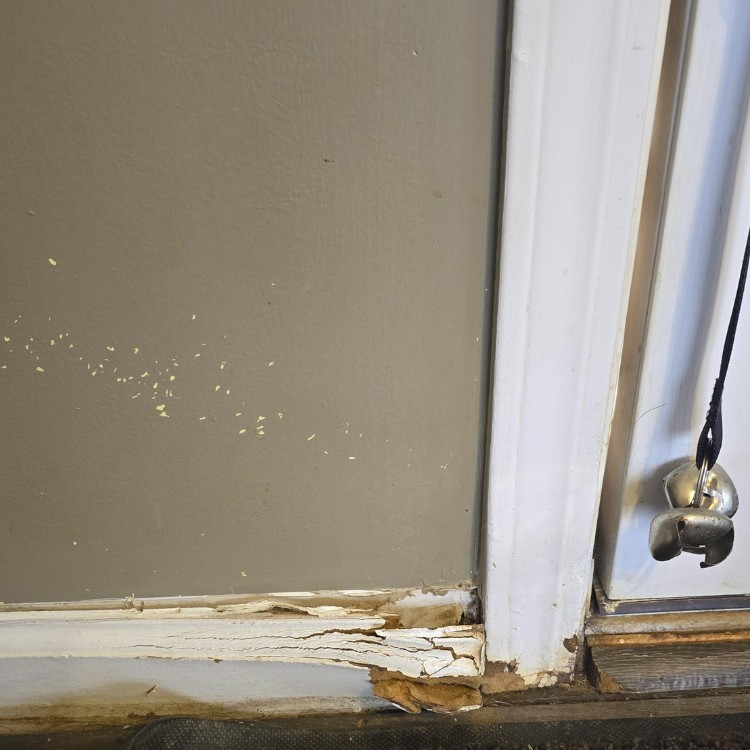 Painting service in Lexington, NC